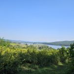 Middle Creek - September 2025